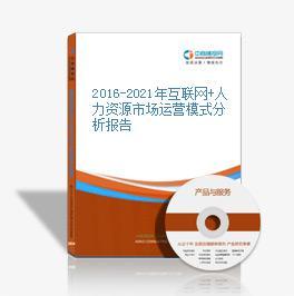 2016-2021年互聯網+人力資源市場運營模式分析報告